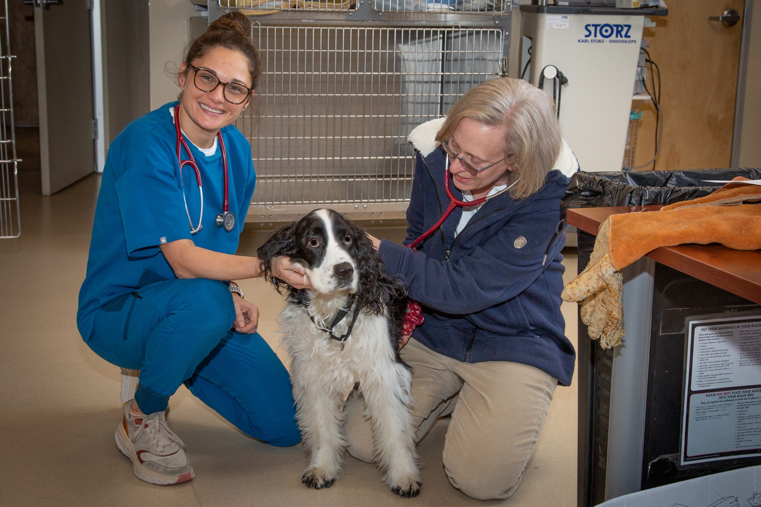 STAFF POSES3 A veterinarian in blue scrubs smiles and kneels beside a black and white dog, while a second woman in glasses and a blue jacket gently holds the dog. They are in an animal clinic with medical equipment in the background.